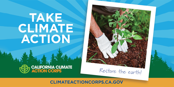 Take Climate Action - photo of planting a tree