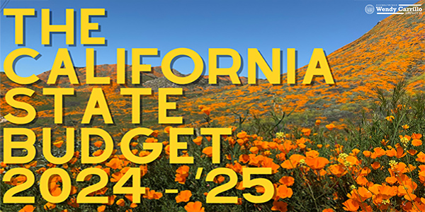 The California State Budget