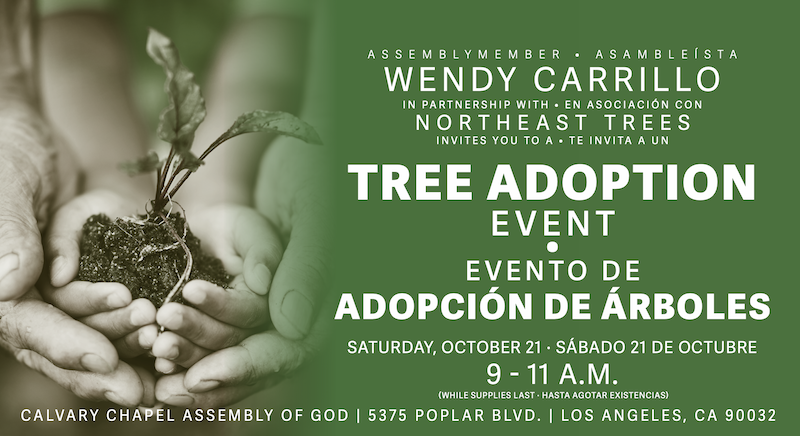 Tree Adoption Event