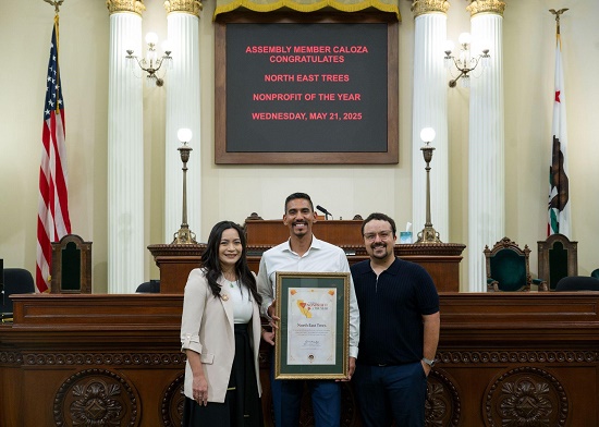 Nonprofit of the Year
